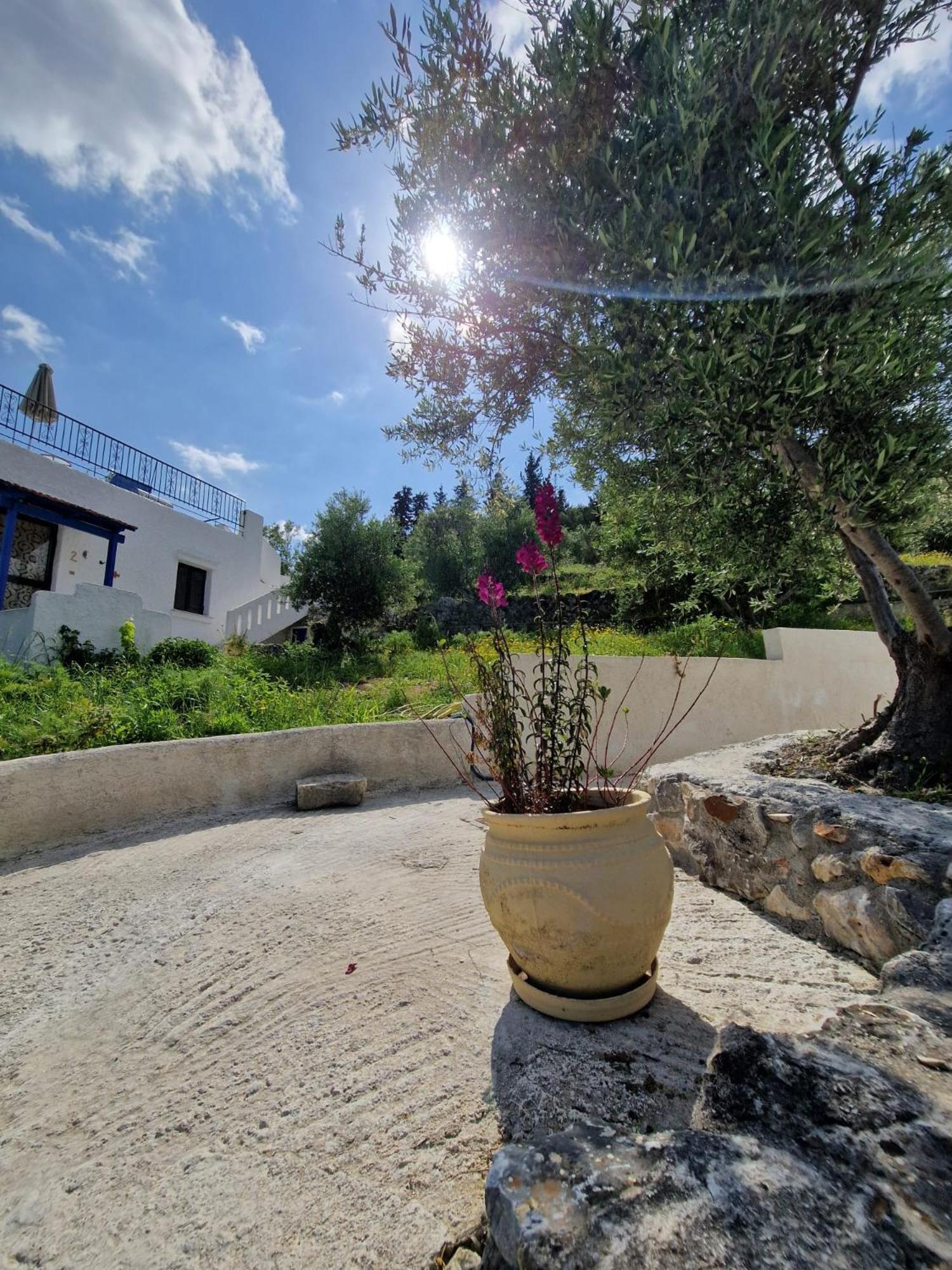 Stefanos Garden Lägenhet Arménoi Exteriör bild