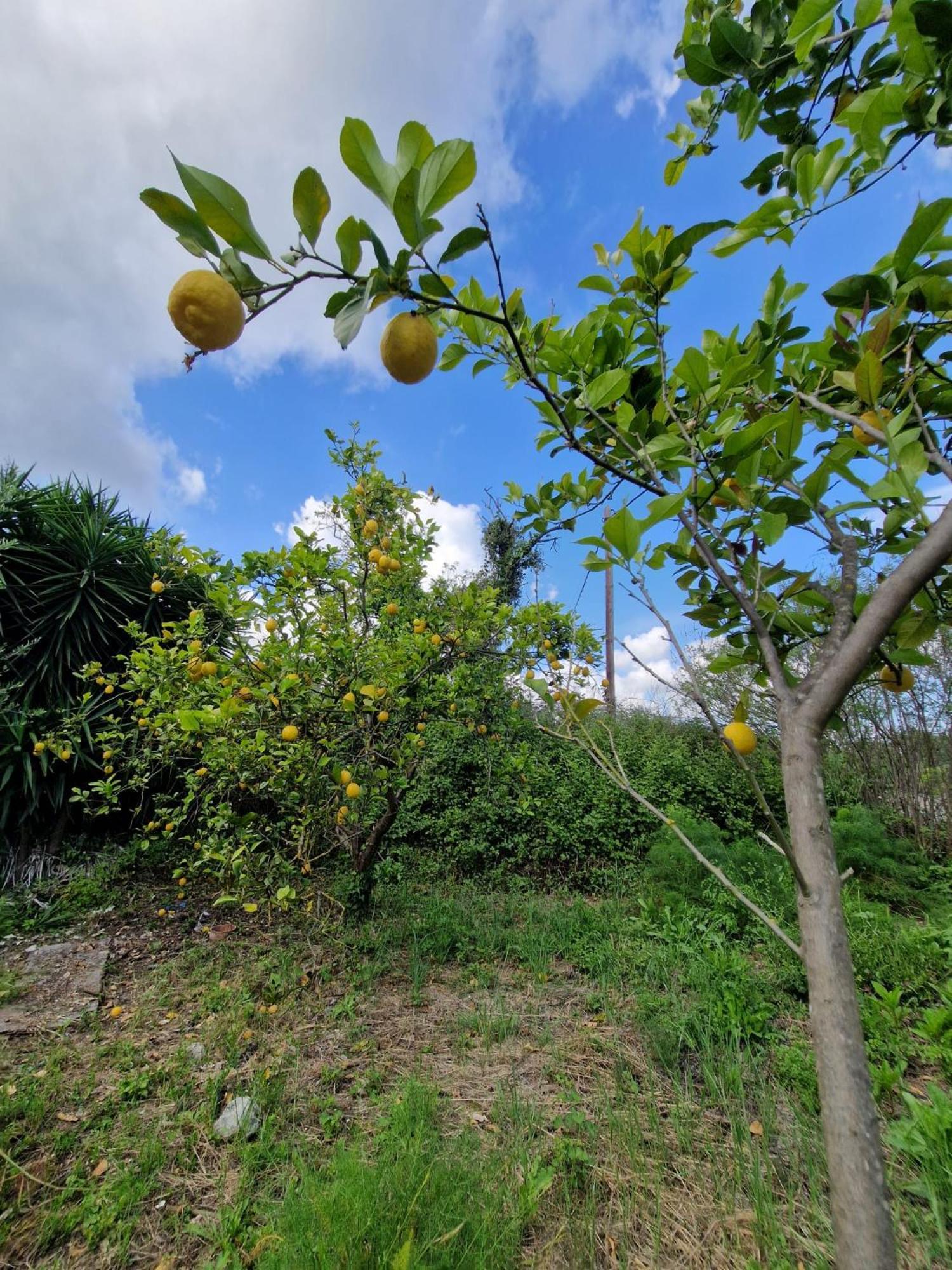 Stefanos Garden Lägenhet Arménoi Exteriör bild