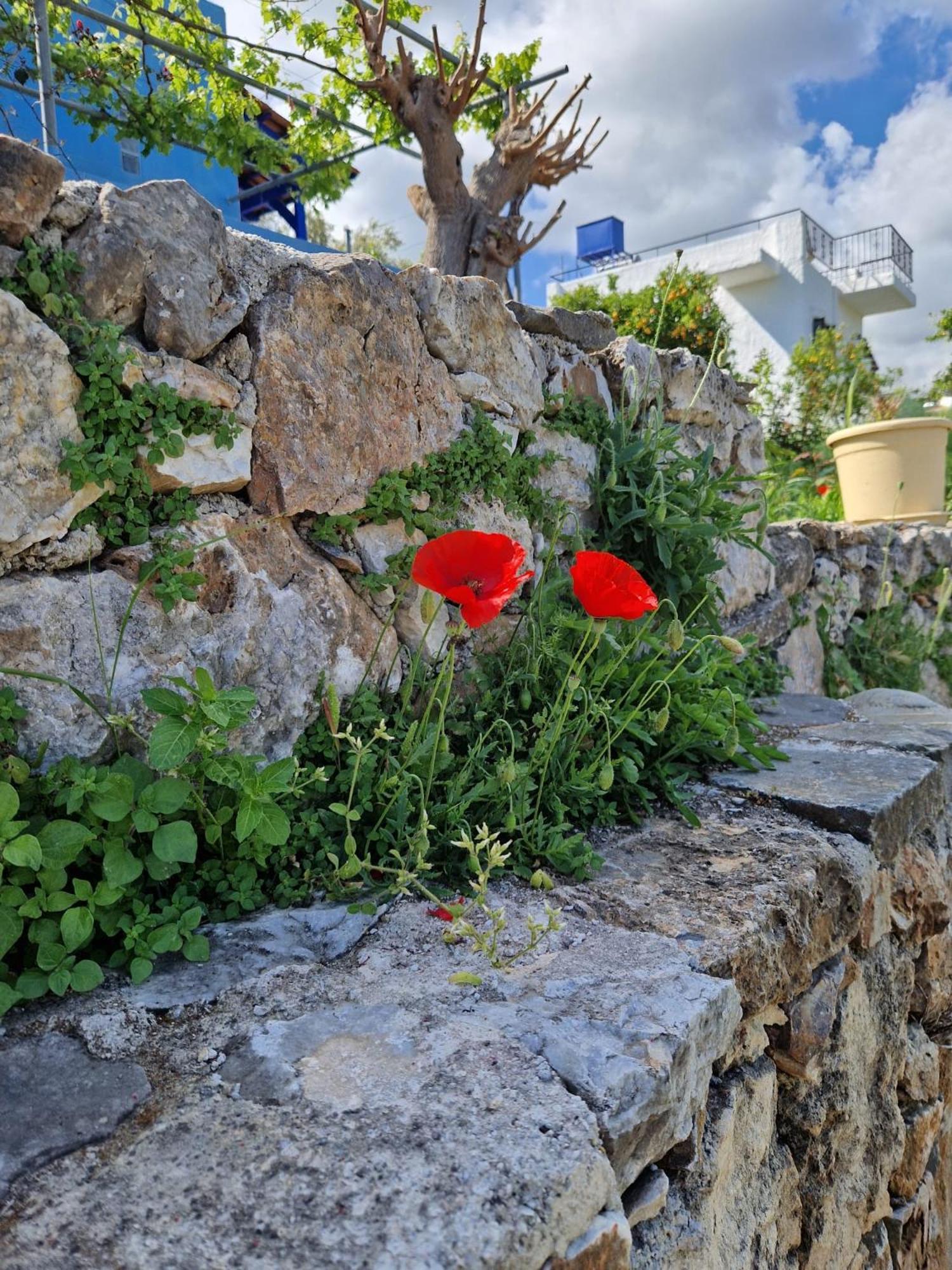 Stefanos Garden Lägenhet Arménoi Exteriör bild