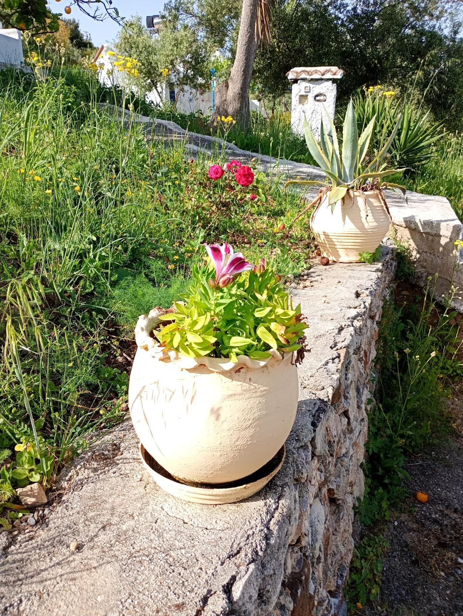 Stefanos Garden Lägenhet Arménoi Rum bild